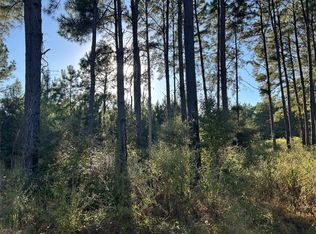 TRACT-12A Fm 230 LOT 12A, Lovelady, TX 75851