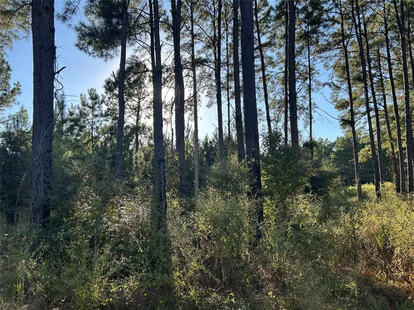 TRACT-12A Fm 230 Lot 12A, Lovelady, TX 75851
