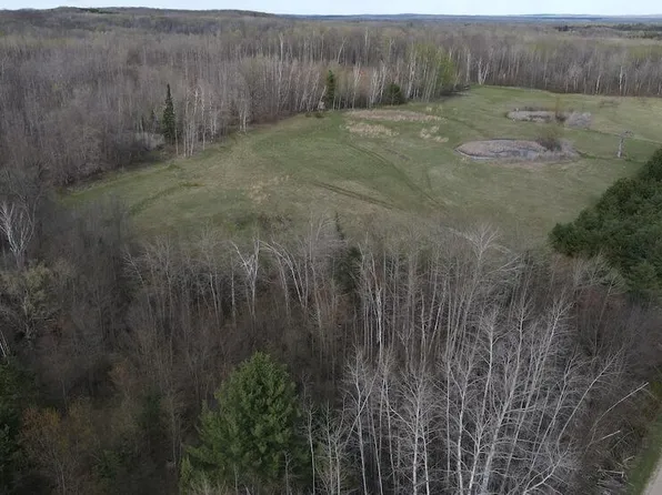 Curtisville Rd, Mio, MI 48647