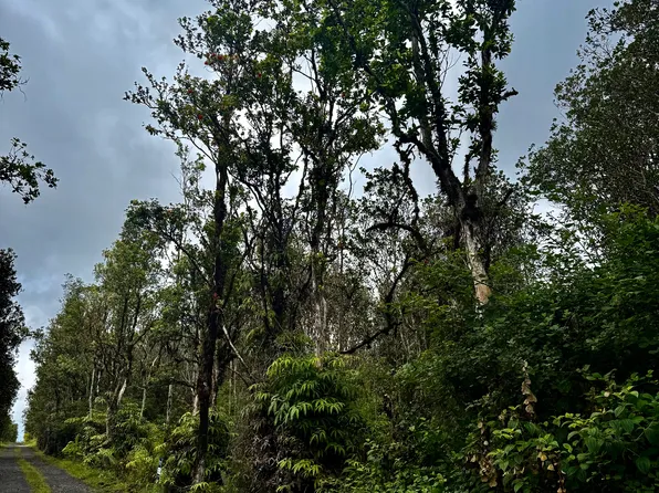 Road 9 Lot 546, Mountain View, HI 96771