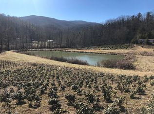 Tbd Railroad Grade Rd, Roan Mountain, TN 37687