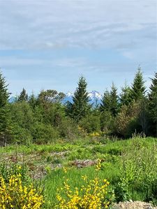 2 E Lone Fir Dr Road E, Shelton, WA, 98584