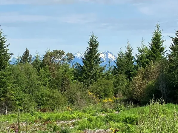 2 E Lone Fir Dr Road E, Shelton, WA 98584