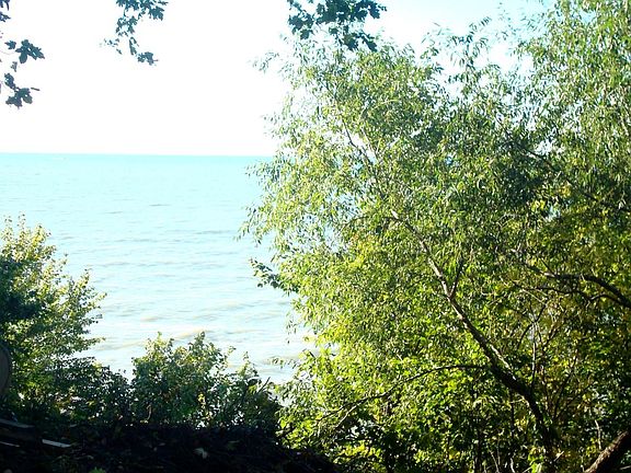 backyard view from house