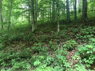 Daniel Hollow Rd, New Tazewell, TN 37825