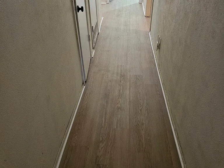 1007 E Windsor Dr — Photo 5