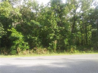 142 Daisy St, Homosassa, FL 34446