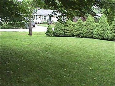 3rd image of 7074 Amity Dr