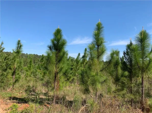 0 Epps Ct, Seale, AL 36875