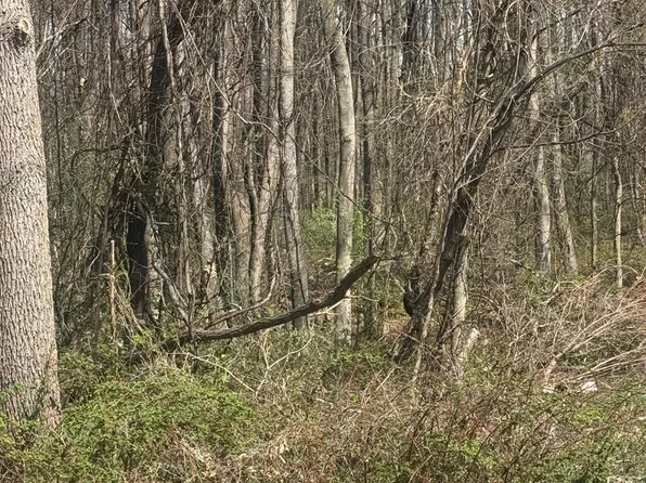 1033 Lindsay St, Lynchburg, VA 24502