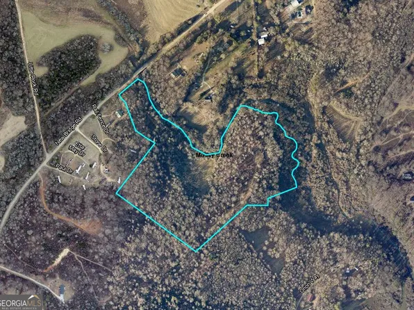 3532 New Bridge Rd, Cleveland, GA 30528