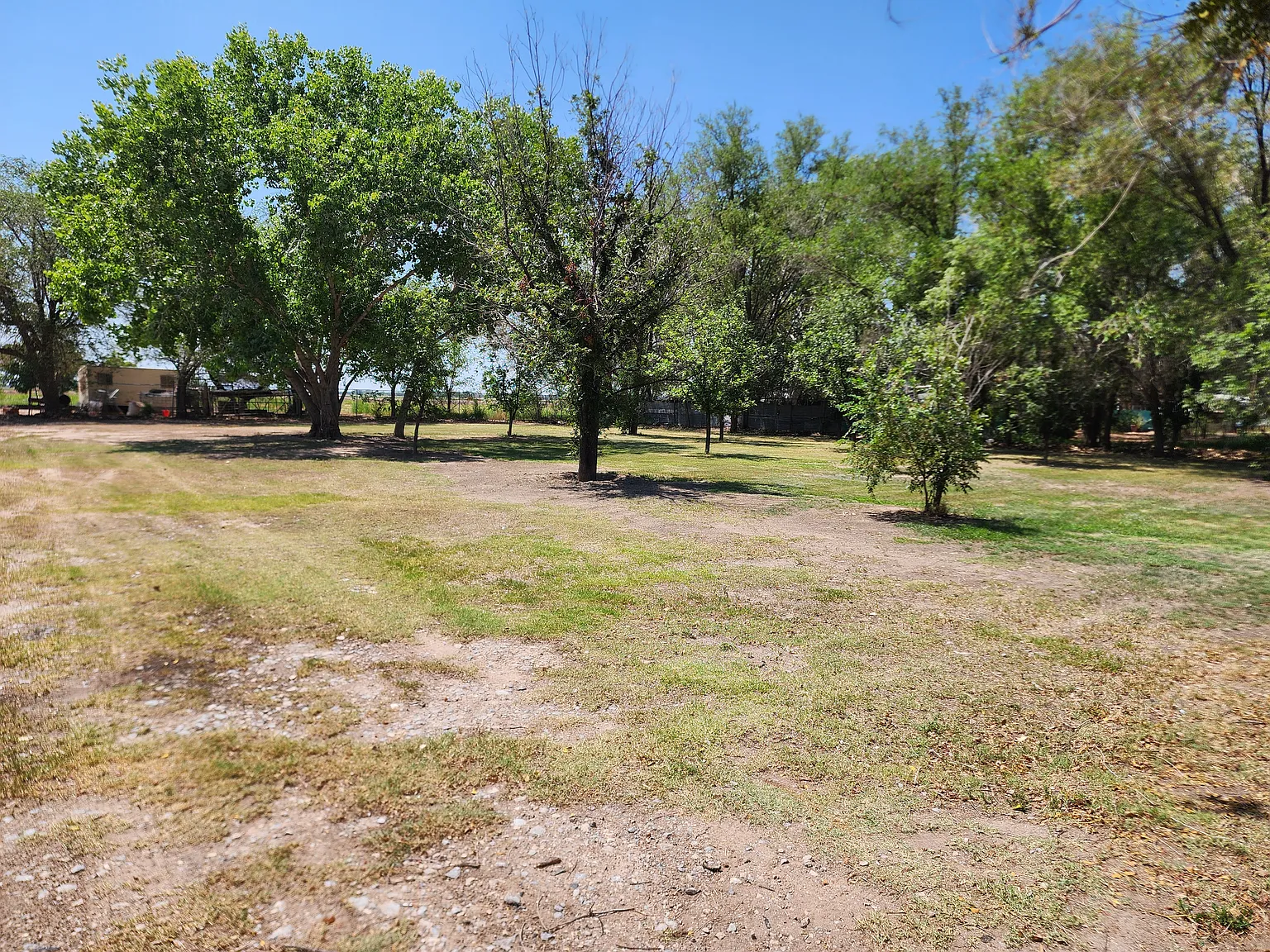 3 bed, 1305 sqft, $1,200 — Photo 3