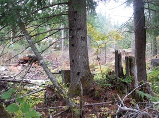 121 Holiday Ln #B, Packwood, WA 98361