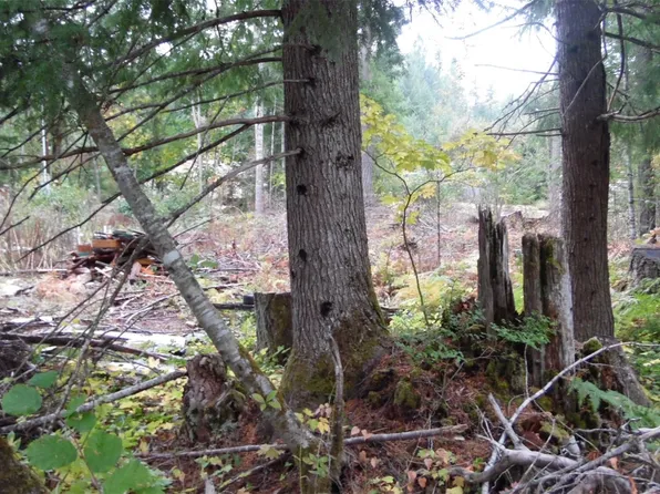 121 Holiday Lane #B, Packwood, WA 98361