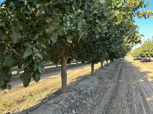 10433 S Bethel Ave, Selma, CA 93662
