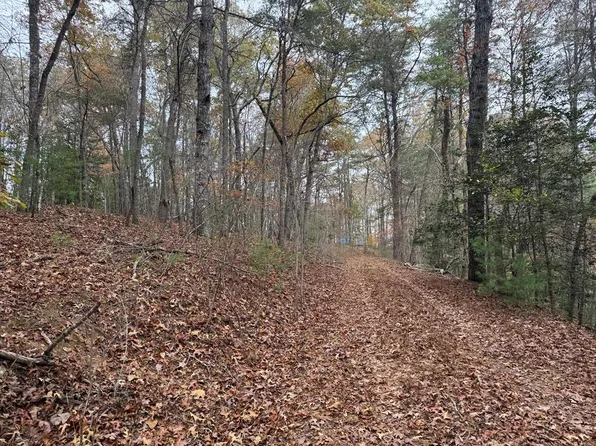 9 Paradise Park Rd, Brasstown, NC 28902