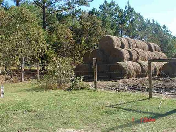4th image of 9415 Winlin Dr