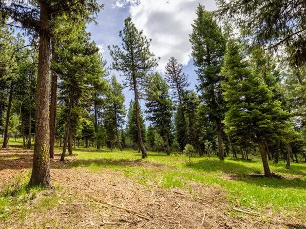 11 To Be Determined, McCall, ID 83638