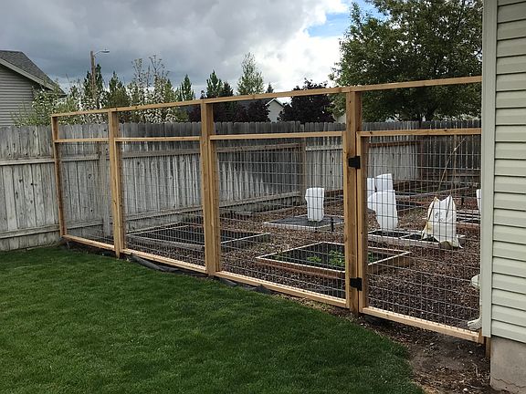 Fenced garden area