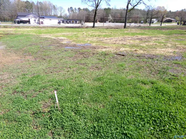 920 E Main St, Centre, AL 35960