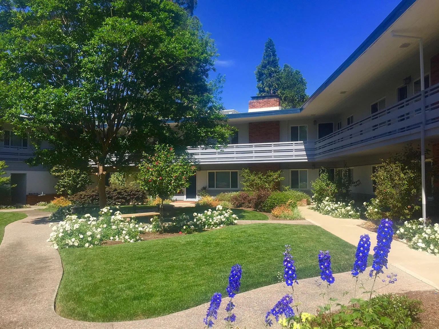 Noel Court Apartments — Photo 2