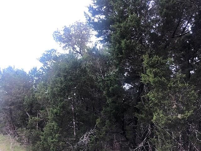 1st image of 67 Acacia Dr