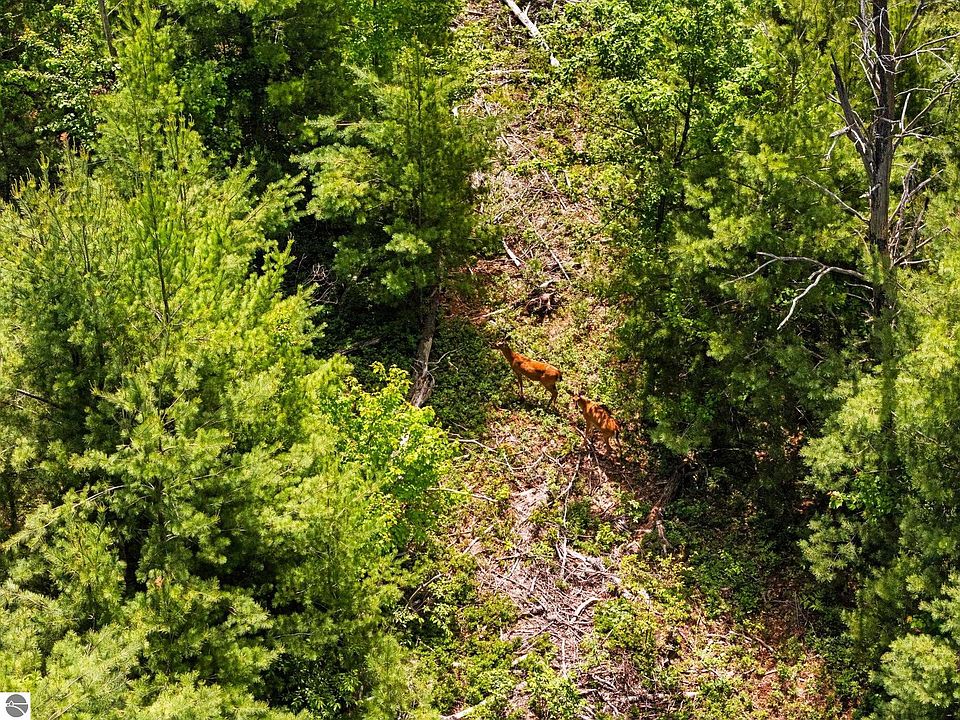 1st image of 4011 W Forest Rd