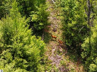 4011 W Forest Rd, Lake City, MI 49651