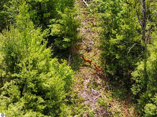 4011 W Forest Rd, Lake City, MI 49651