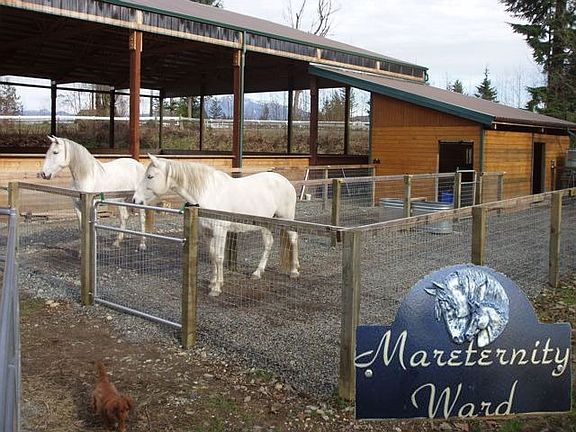 7 stalls with fenced "no mud" runs