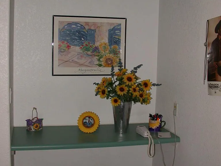930 E Adelaide Dr #1 — Photo 4