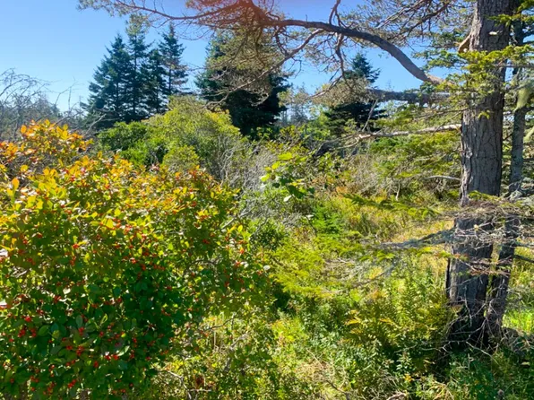 Overton Rd, Yarmouth, NS B5A 5G8