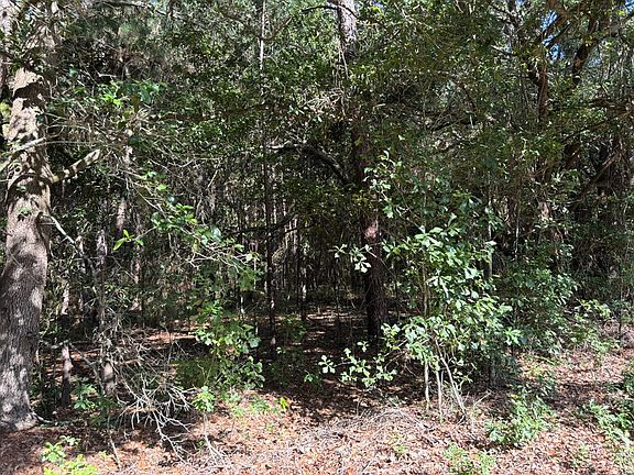 3rd image of TRACT 1 Convick Cir