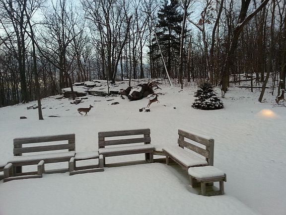 rear from deck...3 deer
