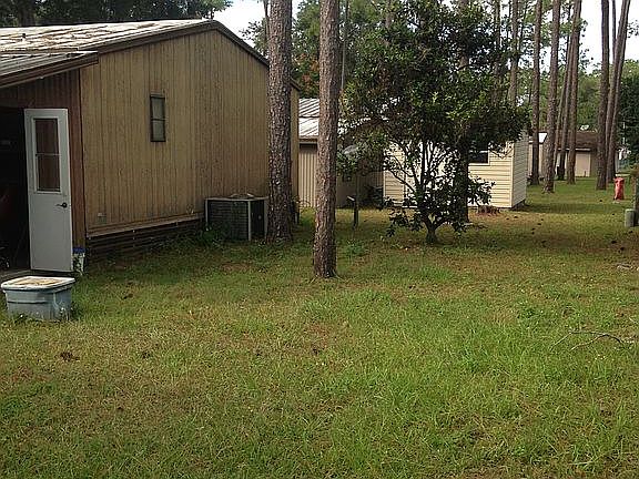 backyard , with Orange  tree

24'X50' ,approx.--