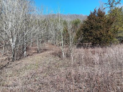 0 Crackers Neck Rd, Washburn, TN, 37888
