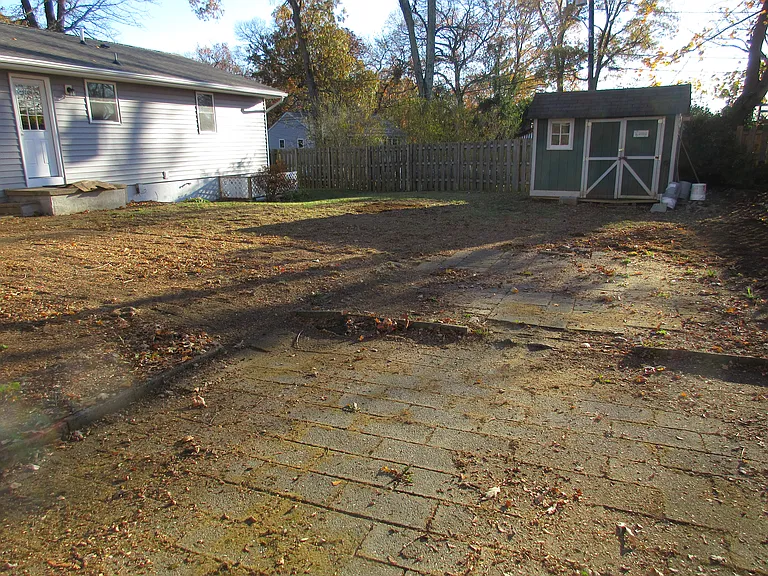 Back yard