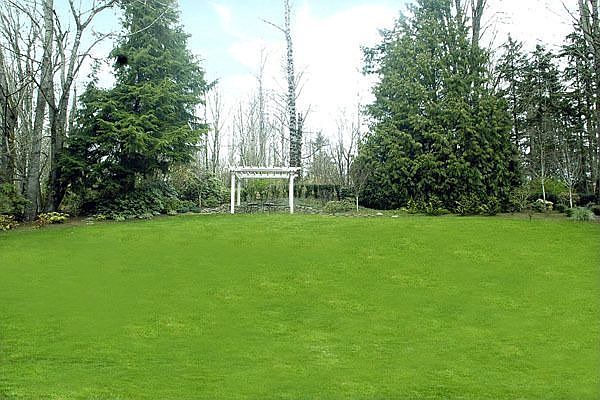 Rear grounds