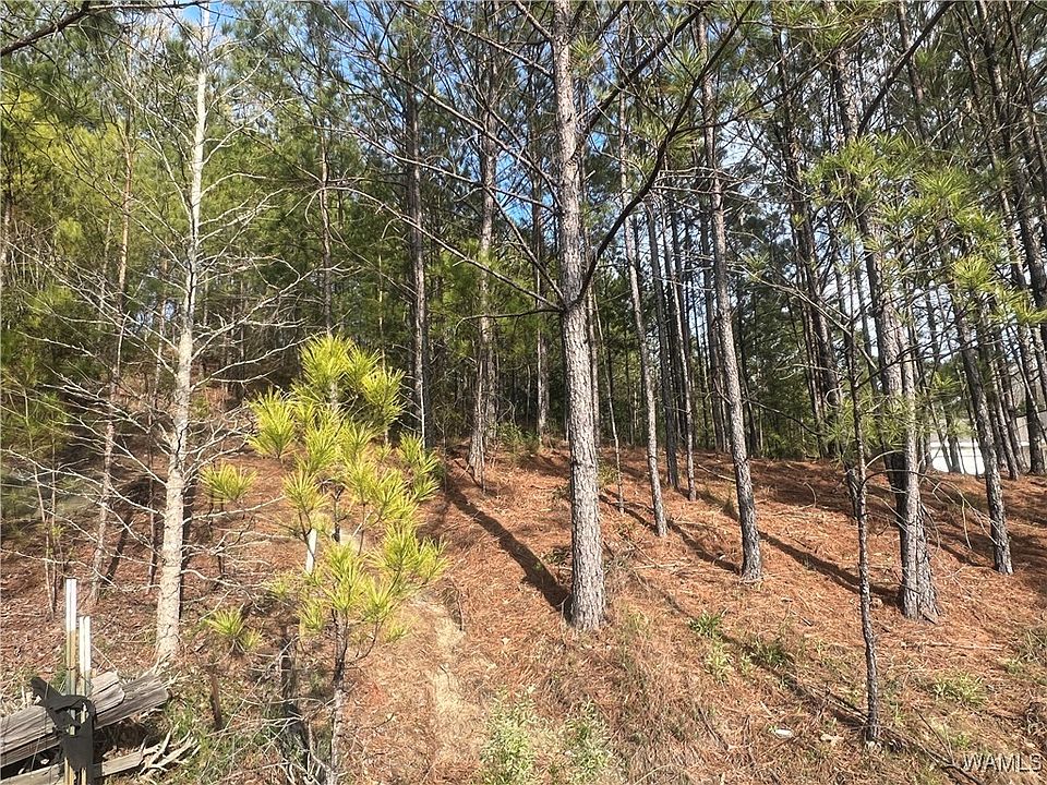 2nd image of 0 Stone Ridge Pkwy