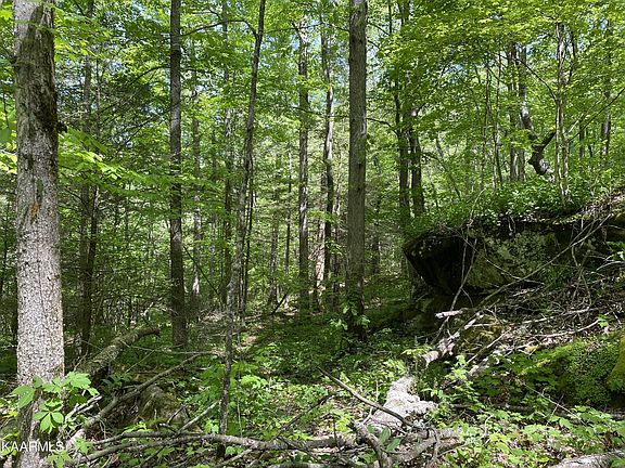 2nd image of 0 Sexton Ln