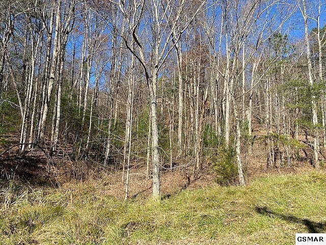 1st image of 56 Wintergreen Dr Lot 56