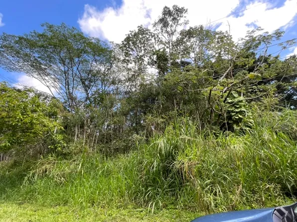 Plumeria Rd Lot 356, Pahoa, HI 96778