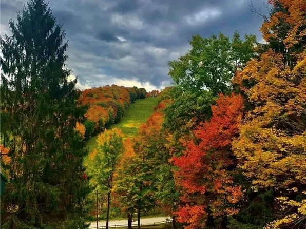 6750 Holiday Valley Rd Lot 33, Ellicottville, NY 14731