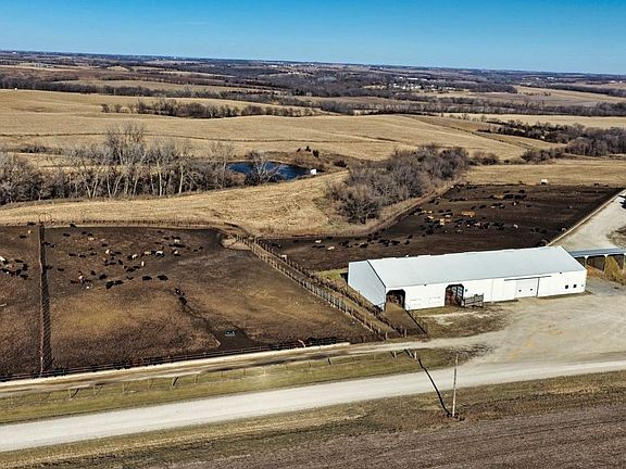 Ringgold County Farmland For Sale 8 