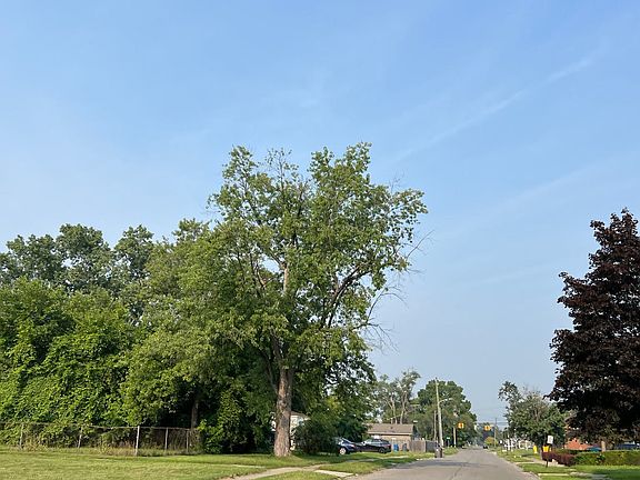 5th image of 29159 Parkwood St