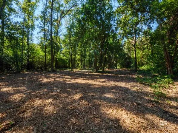 303 Young St #4A, Fairhope, AL 36532