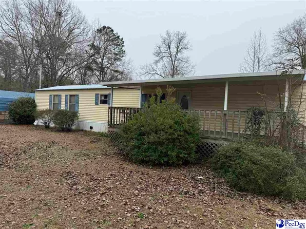 1253 Charles Dr, Manning, SC 29102