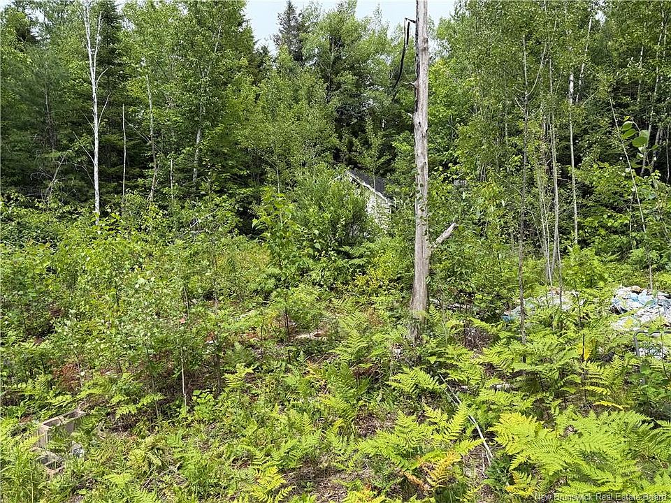 1st image of 876 Green Rd