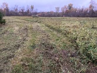 2nd image of Faussett Rd