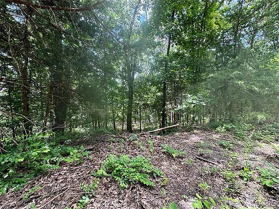 3rd image of Bluebird Ln